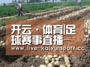 种植基地八