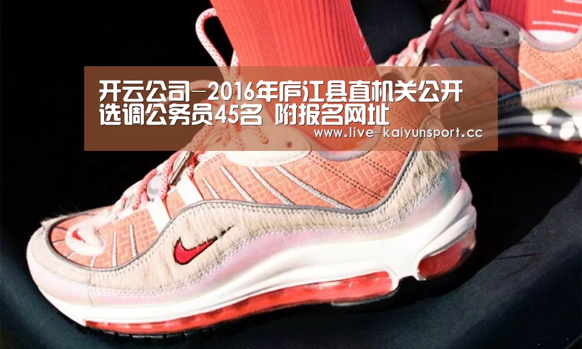 开云公司-2016年庐江县直机关公开选调公务员45名 附报名网址(图2) 开云团队