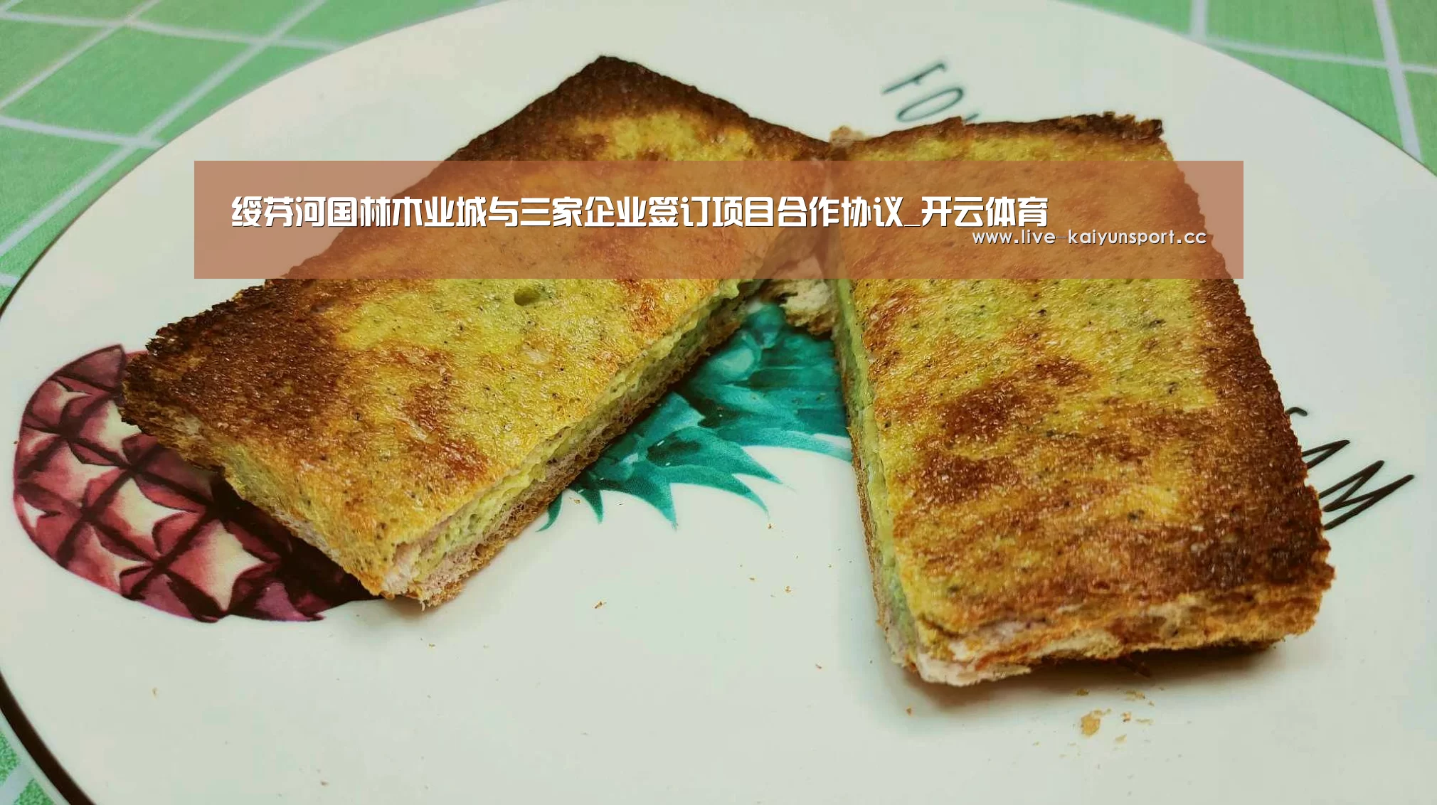 绥芬河国林木业城与三家企业签订项目合作协议_开云体育(图2) 开云团队