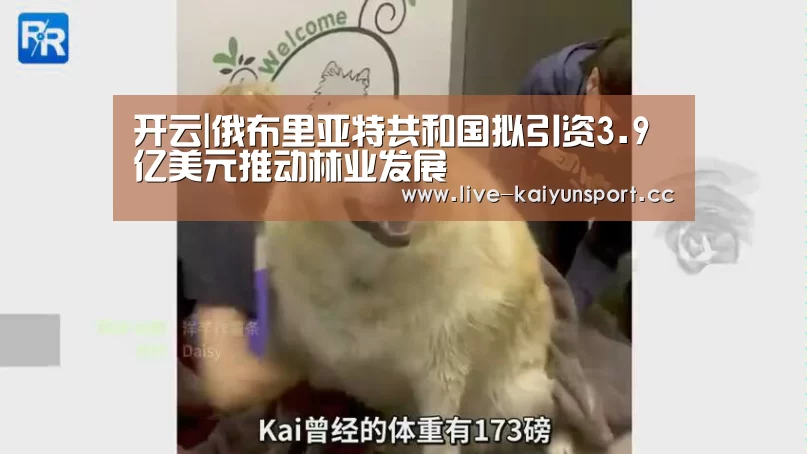 开云|俄布里亚特共和国拟引资3.9亿美元推动林业发展(图1) 开云官方