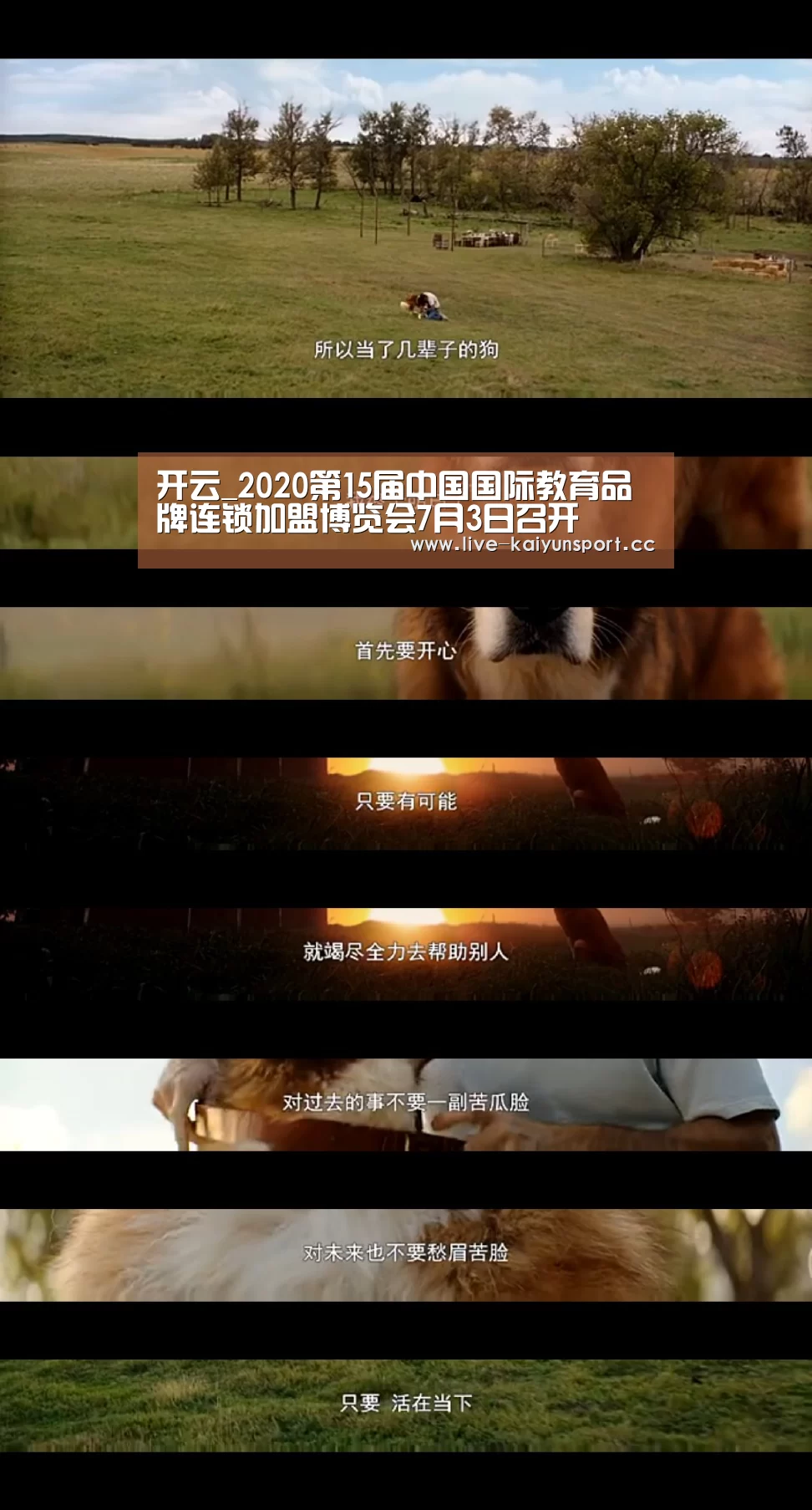 开云_2020第15届中国国际教育品牌连锁加盟博览会7月3日召开(图1) 开云体育
